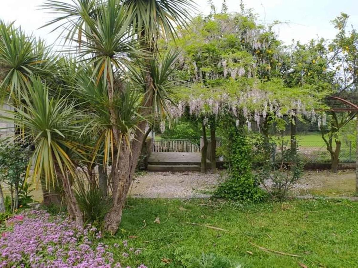 Villa Casa De Sta Comba Barcelos Esterno foto